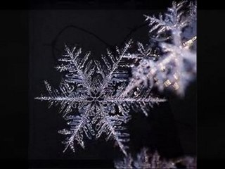 ZEKI ERDEM  ~ Dönecegim S€Zi