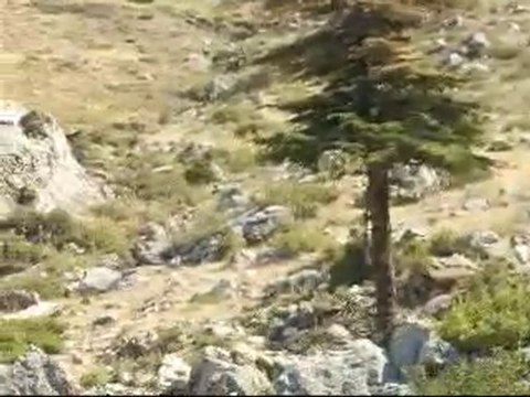 enduroda böyle şeyler cok olur