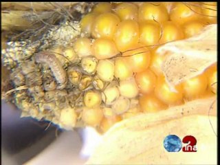 JA2 20H : émission du 16 novembre 1996