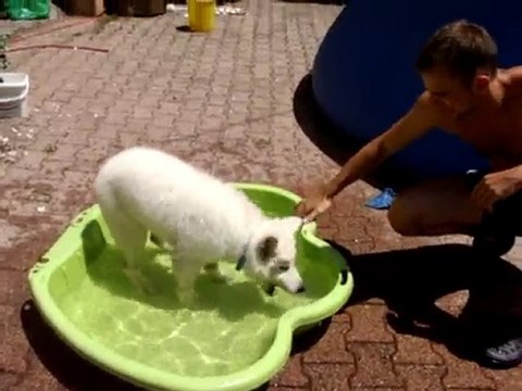 3 Juillet 2010 - Fiorra profite de sa piscine