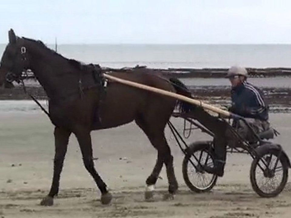 RIKITA BELLA SUR LA PLAGE AVEC FRANCK TERRY