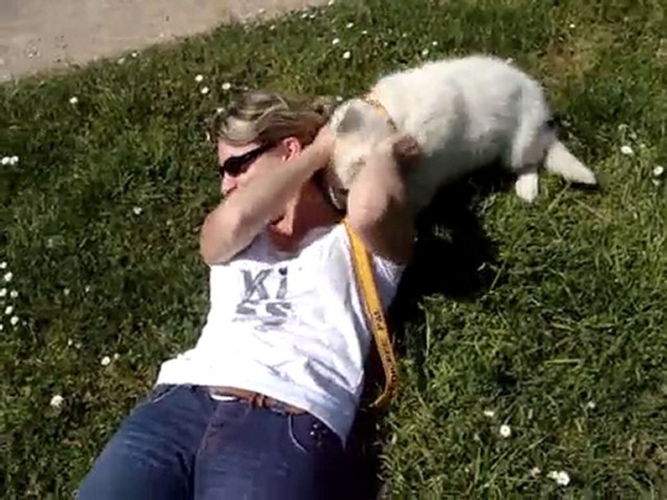 un amour de chien !!