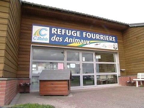 Calaisis TV: L'oeilleton: LPA les actions épisode 5