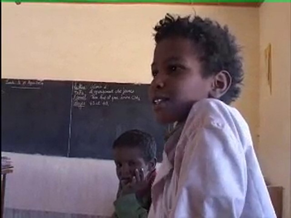 Le petit Gibo... 4 ans plus tard