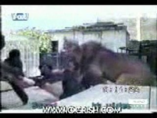 Incroyable mais vrai