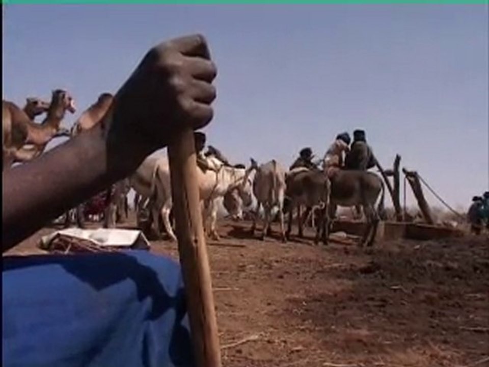 Témoignages de voyageurs Croq'nature