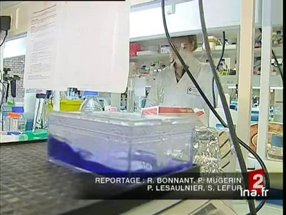 20 heures le journal : [émission du 16 janvier 2004]