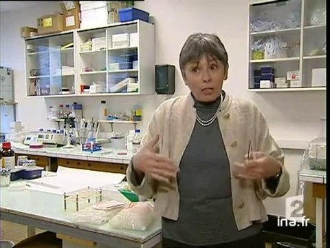 20 heures le journal : [émission du 29 Janvier 2004]