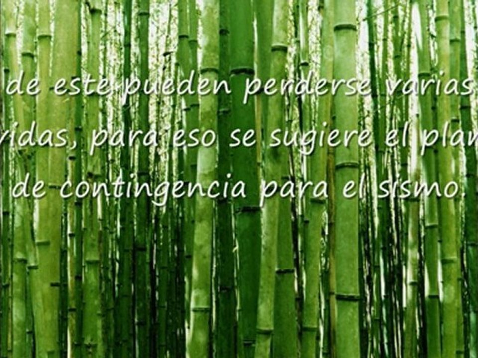 Preguntas para reflexionar.
