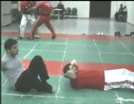 VASEKA DÖVÜŞ SANATI