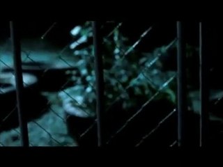 Создание ролика "Wolfisback" - возвращение легенды