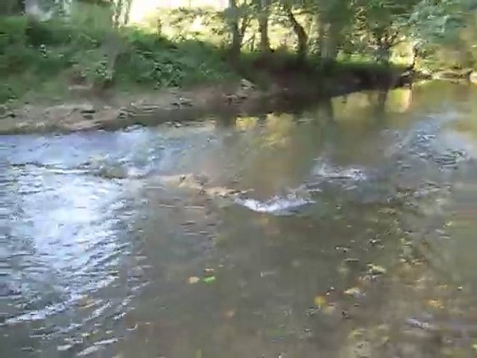 lacher de chevesne !!!!!!!!