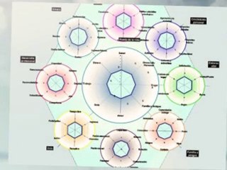La Rueda de la Vida Coaching Personal de Vida