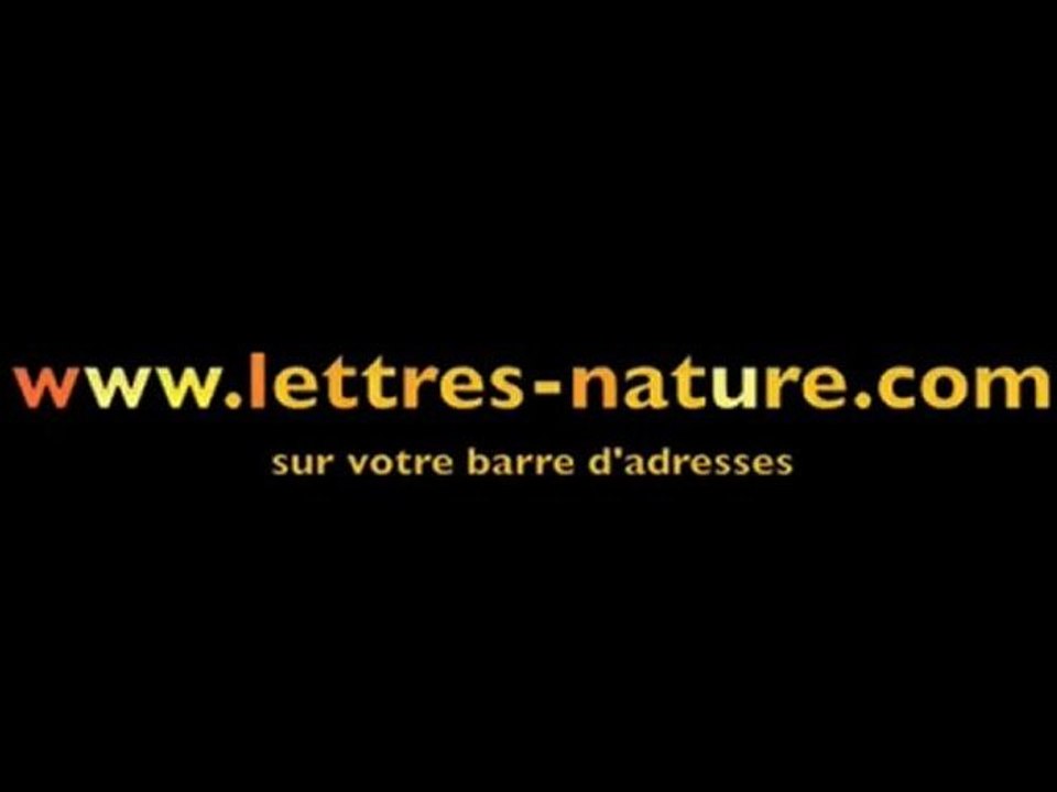 THÉÂTRE . COURS - ACCUEILLIR - DAVID BALY PROF DE THÉÂTRE