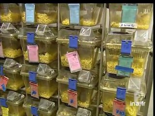 20 heures le journal : [émission du 25 juin 2004]