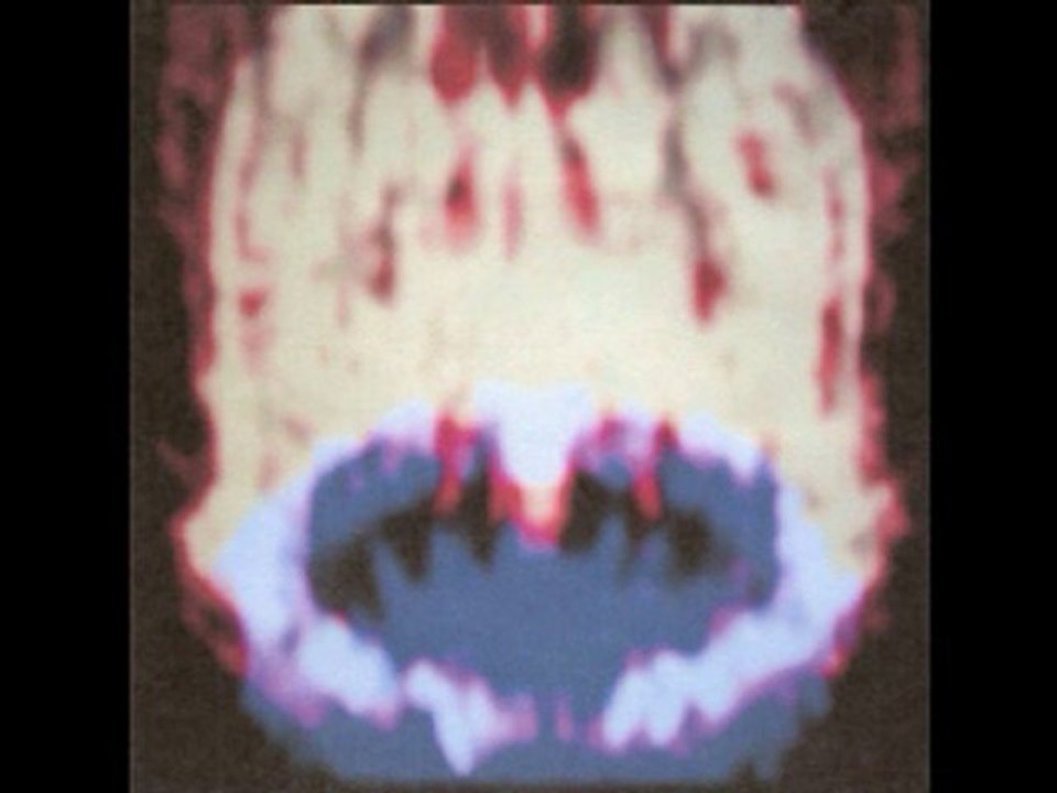 Number Nine Experiment - Earthquake
