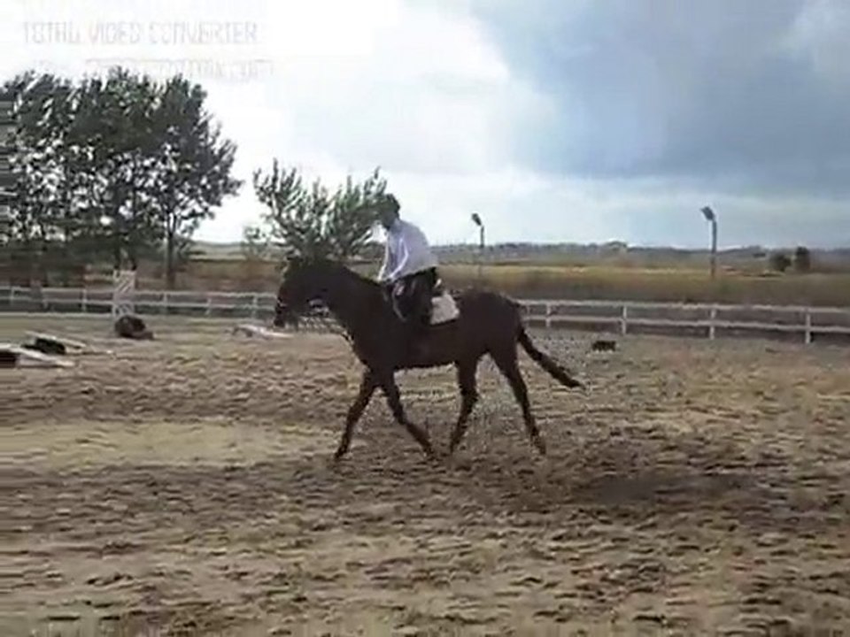 SDC14571