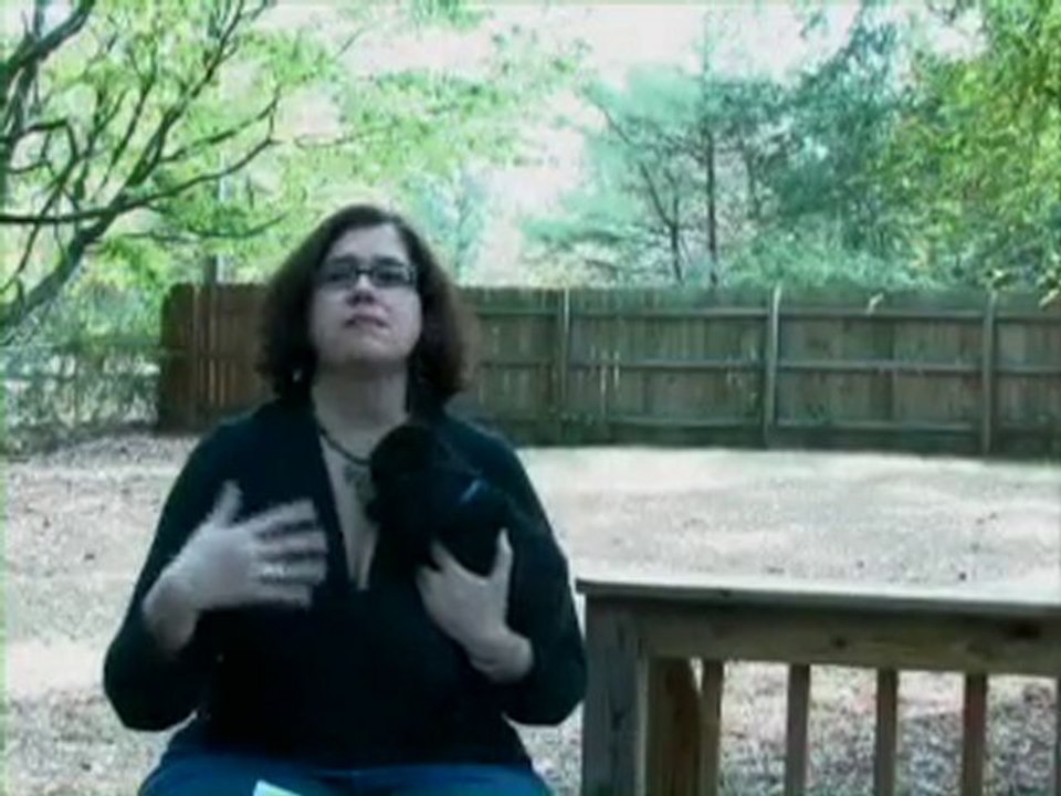 Business Ethics,Business Values: Honor Your Business Mission