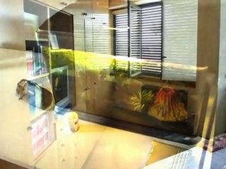 cardedeu Agosto 2010