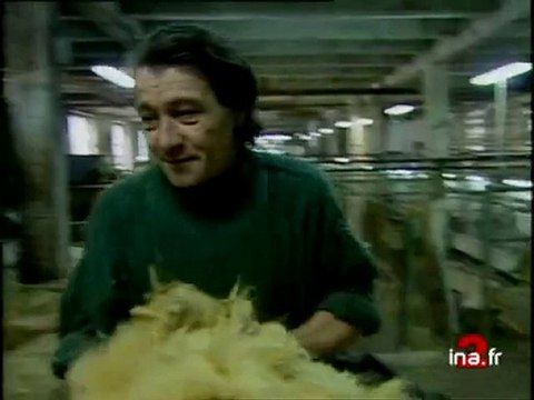 JA2 20H EMISSION DU 28 FEVRIER 1999