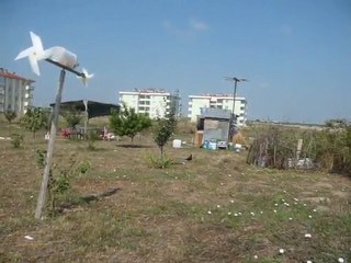 Engin Kocyigit_Dusen Siyah