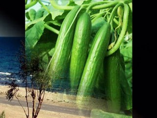 tekeli kasabası resimleri