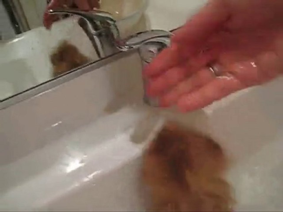 Guinea Pig's Bathing Timeee ~~~~~~ FATTYYY DUMBYYY PIGIIEESS