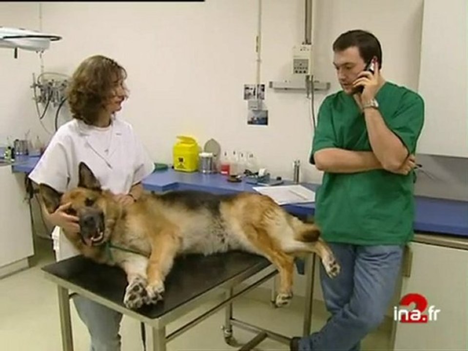 JA2 20H  EMISSION DU 18 OCTOBRE 1998