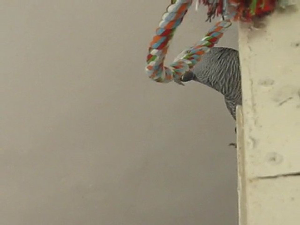 Вова поёт.25.04.2010