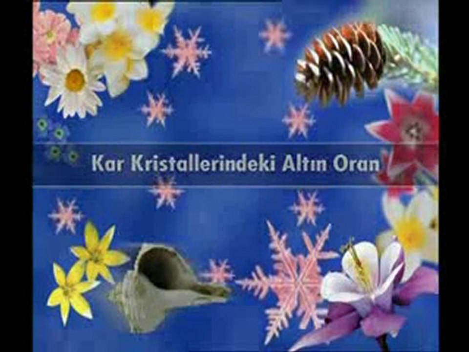 Mikrodünyada altın oran