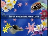 İnsan vücudu ve altın oran