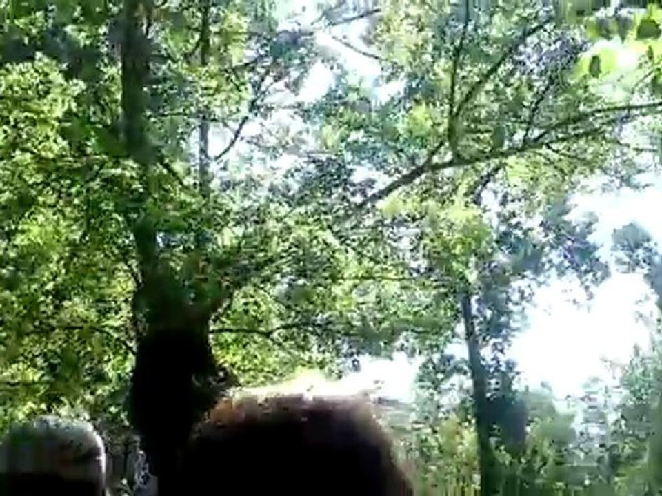 Les Marais de Coulon   090810