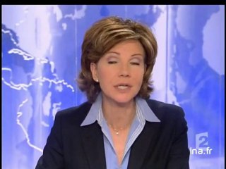 20 heures le journal : [émission du 29 Janvier 2006]