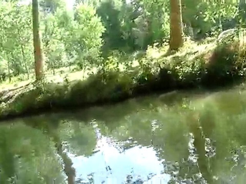 Les Marais de Coulon 090810