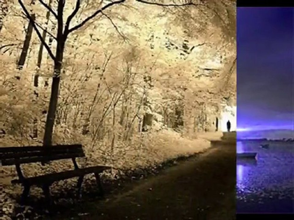 Ji BiR NaKiM - [fero]