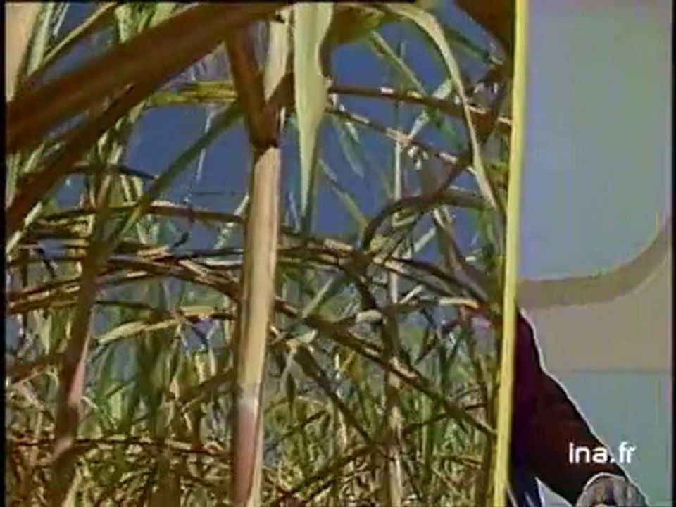 Midi 2  : émission du 1er février 1986