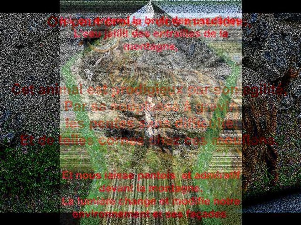 LA CORSE ©POEME THOMAS ANDRE© PHOTOS ©MARTINE ANCIAUX©