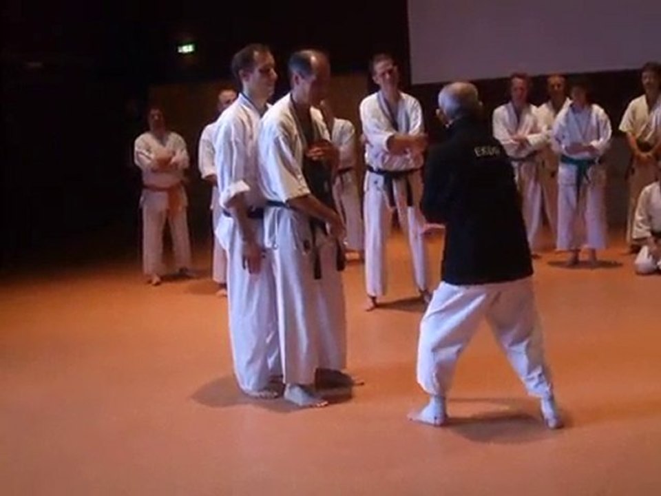 Toulouse 2010-102