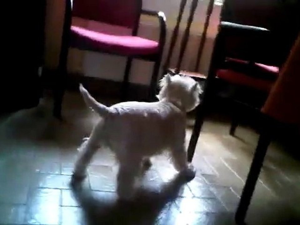 Ma petite SiSSi :)