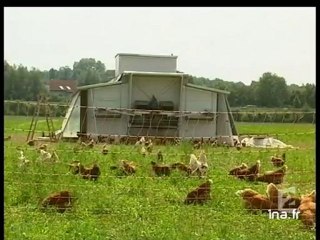 20 heures le journal : [émission du 21 Août 2005]