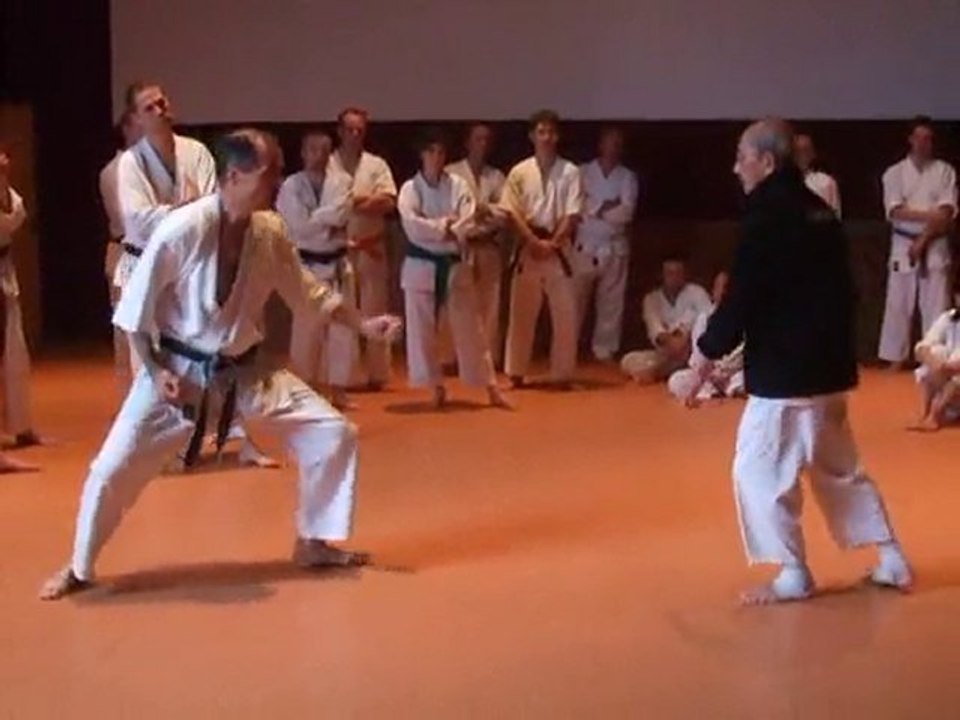 Toulouse 2010-107