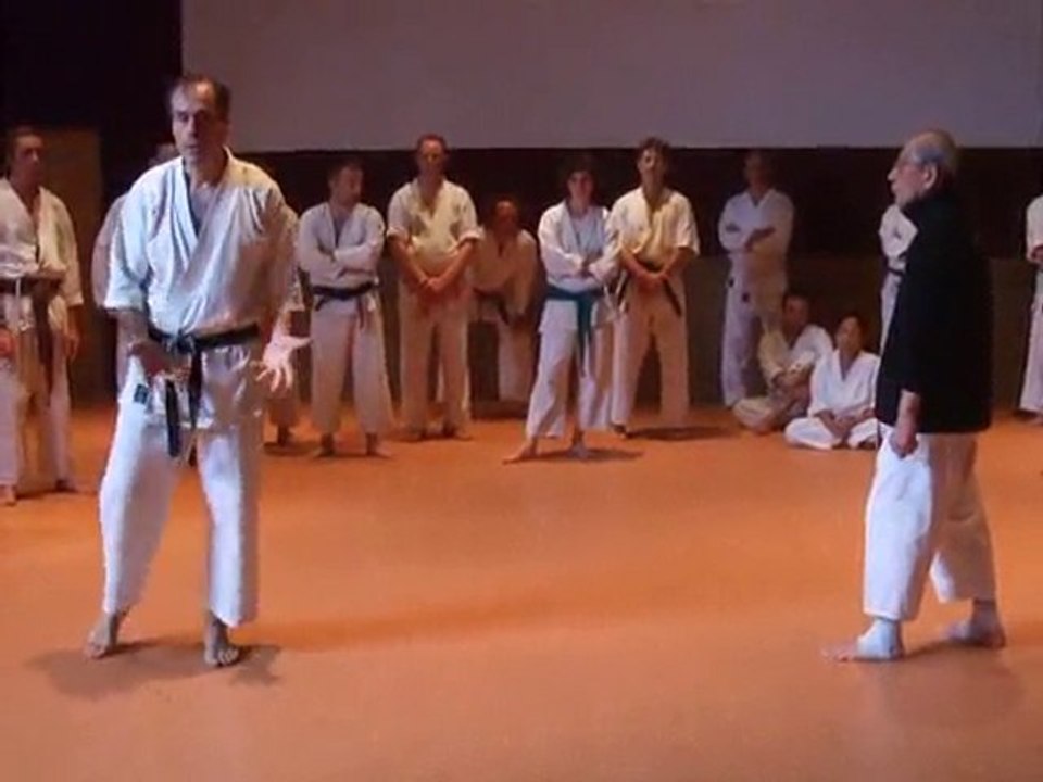 Toulouse 2010-108