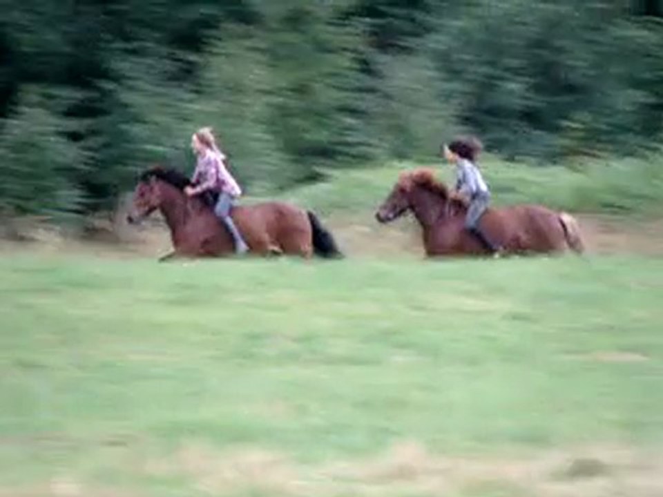 Les dadoux galopant dans le pré