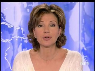 20 heures le journal : [émission du 20 janvier 2006]