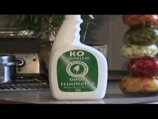 How To Remove Odors, Pet odors, Smoke Odors