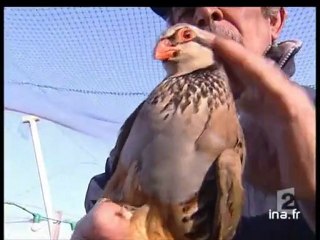 20 heures le journal : [émission du 6 Mars 2006]