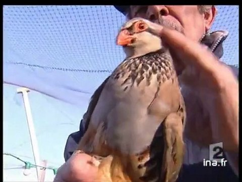 20 heures le journal : [émission du 6 Mars 2006]