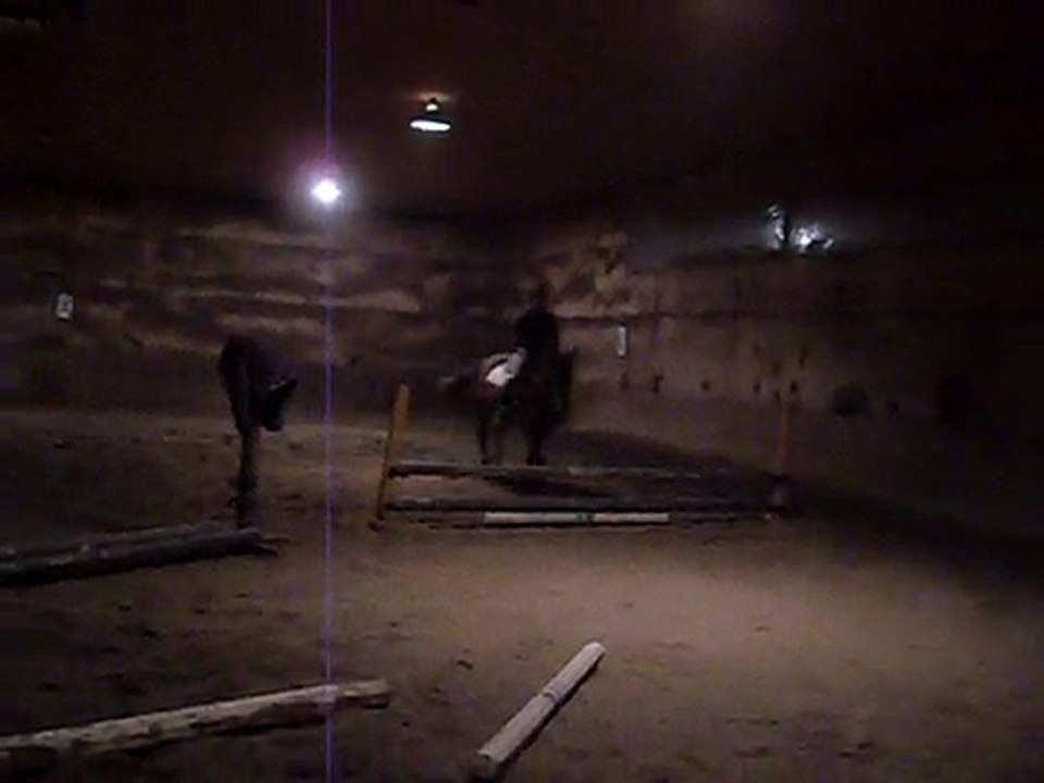 Joannie + Arwen, oct. 22, 2010 small vertical + pole