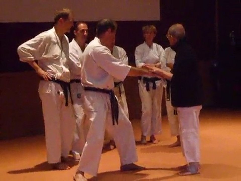 Toulouse 2010-114