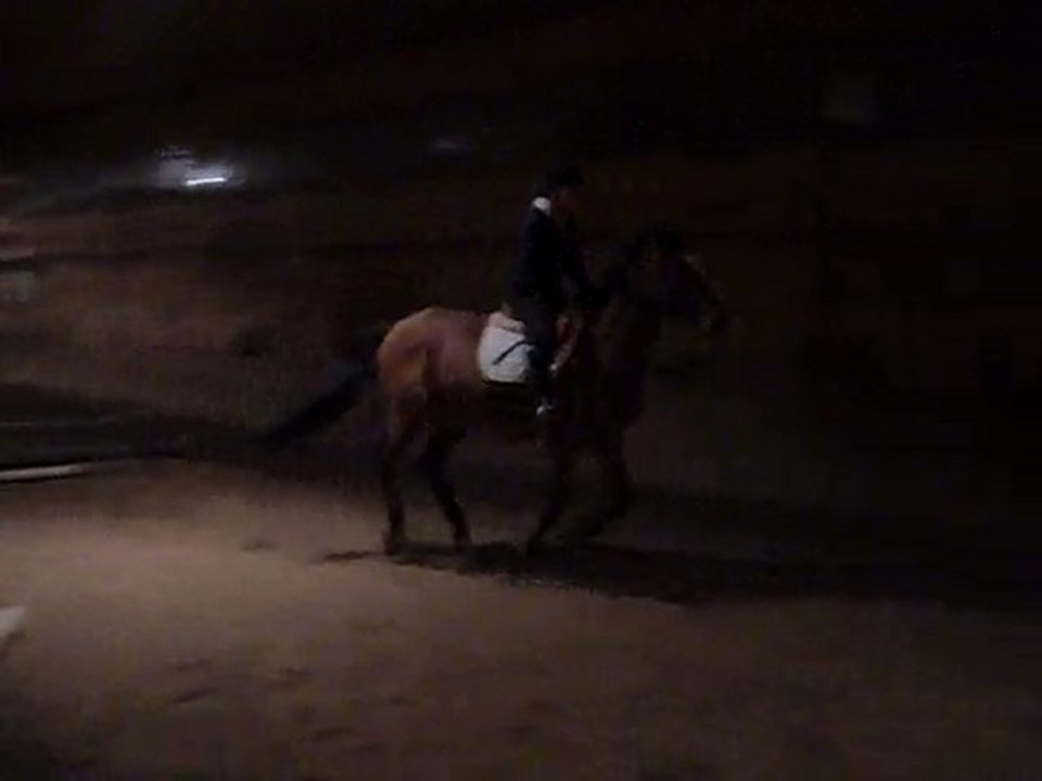 Laurence + Lucy in the Sky, oct. 22, 2010